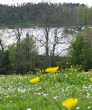 plan_d_eau_bouton_d_or0