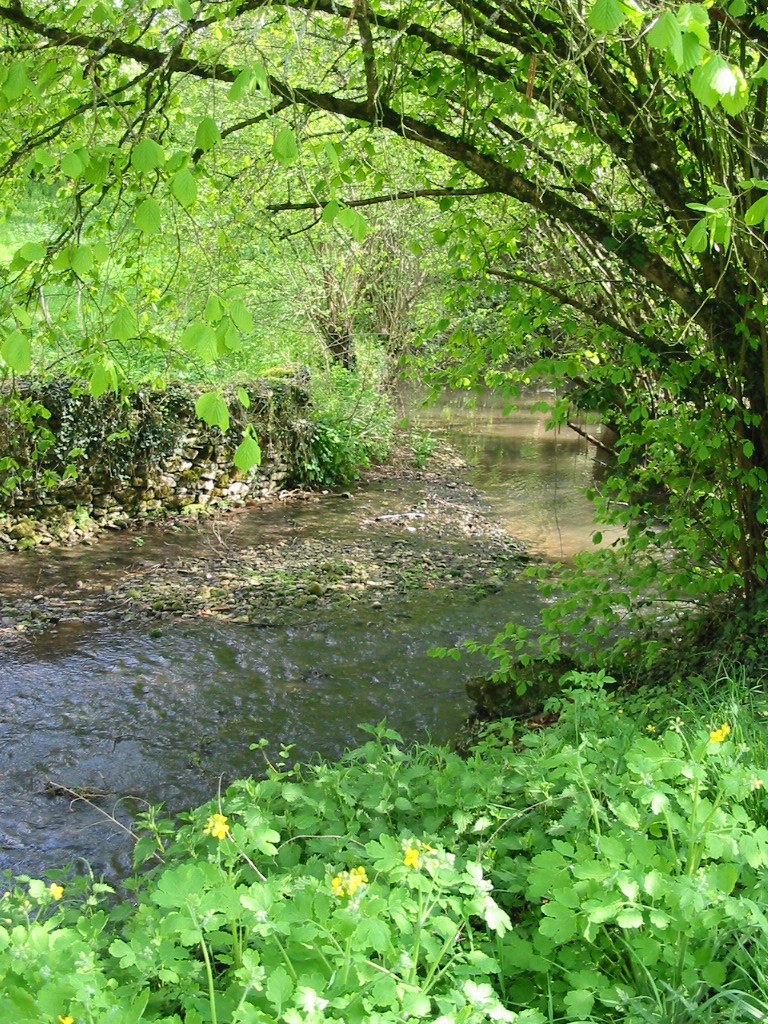 Ruisseau moulin Bertrand